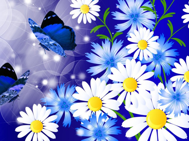 Остеоспермум белый с синей серединкой