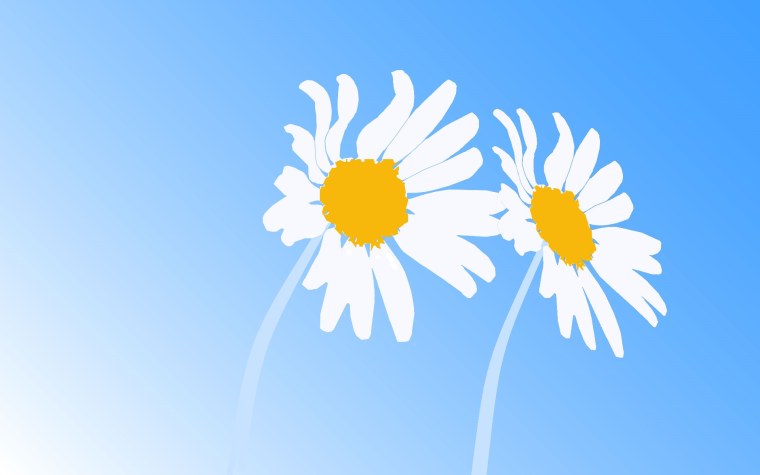 Ромашки на синем фоне