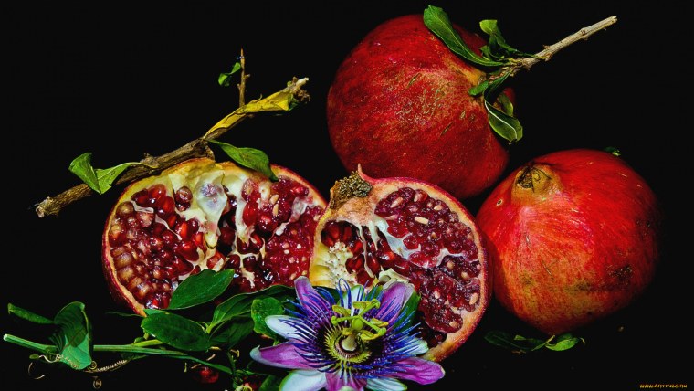 Открытка плоды граната