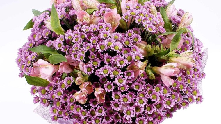 Альстромерия Гринфилд