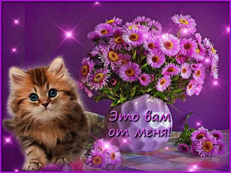 Красивые пожелания девушке