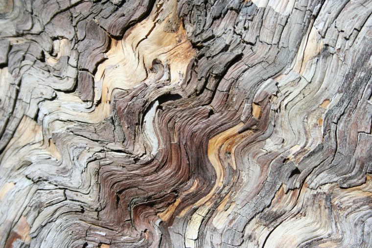 Фактура природы