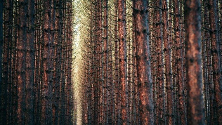 Зеленый рельеф