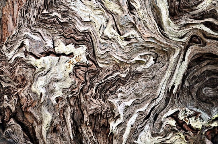 Фактура природы