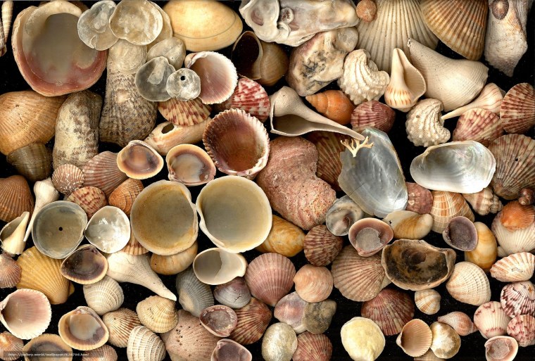 Природные фактуры