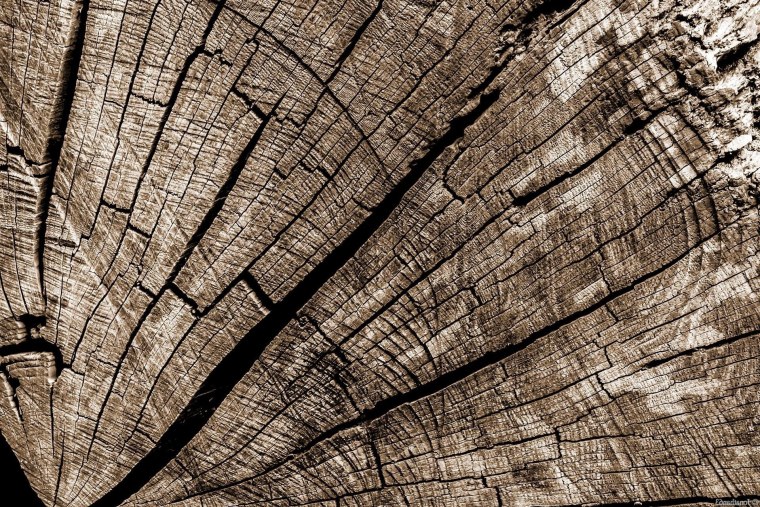 Природные текстуры