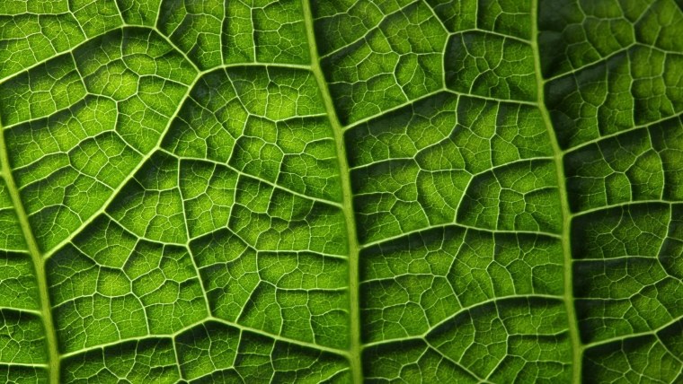 Природные текстуры