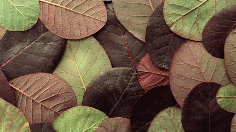 Камень галька