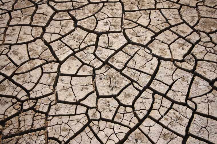 Фактура природы