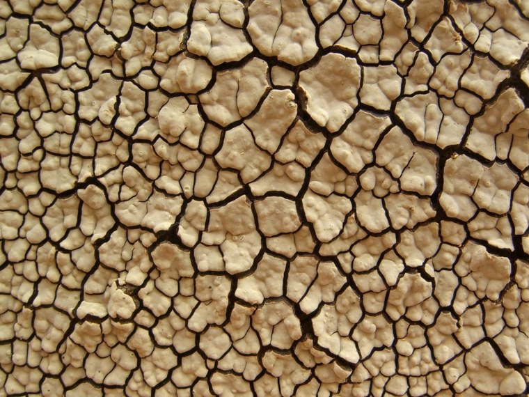 Зеленые обои