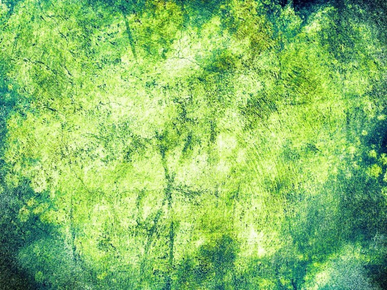 Природные текстуры