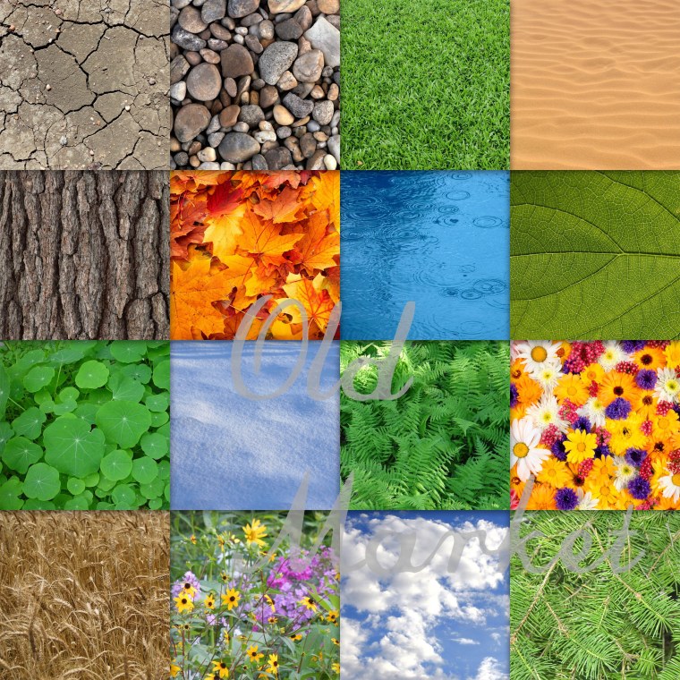 Зеленый лист