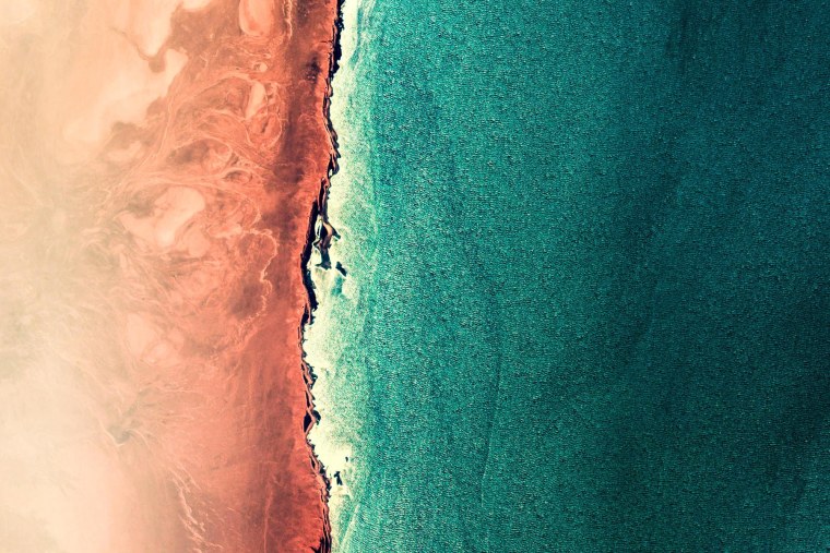 Прожилки листьев