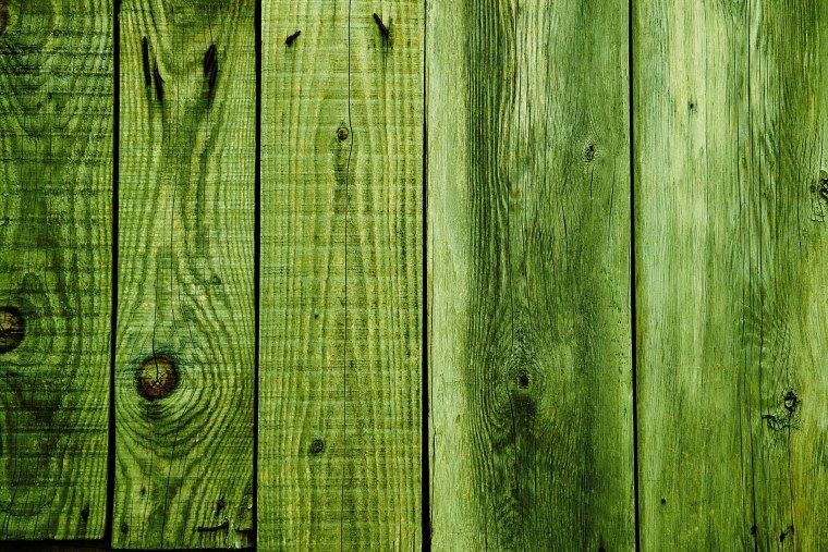 Баралеф природа текстура