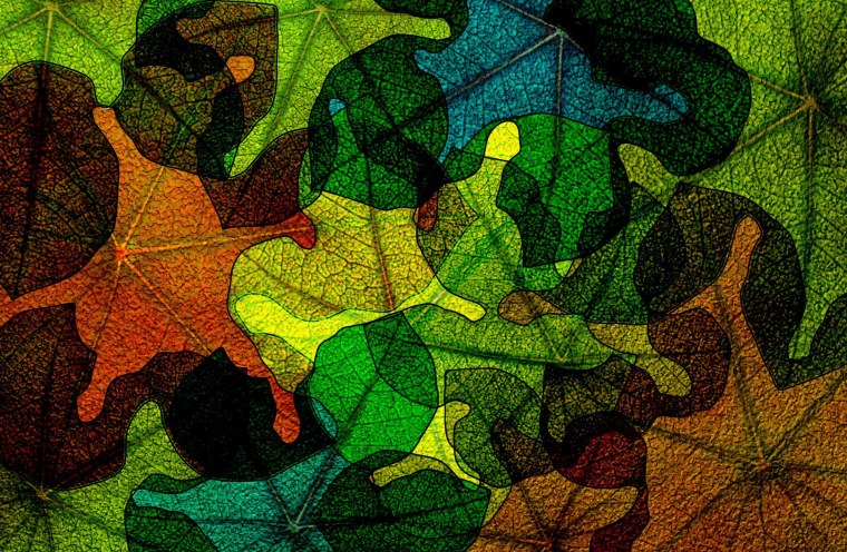 Мох текстура