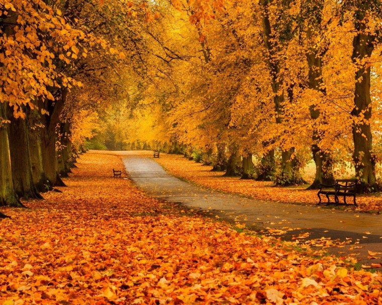 Осенний парк