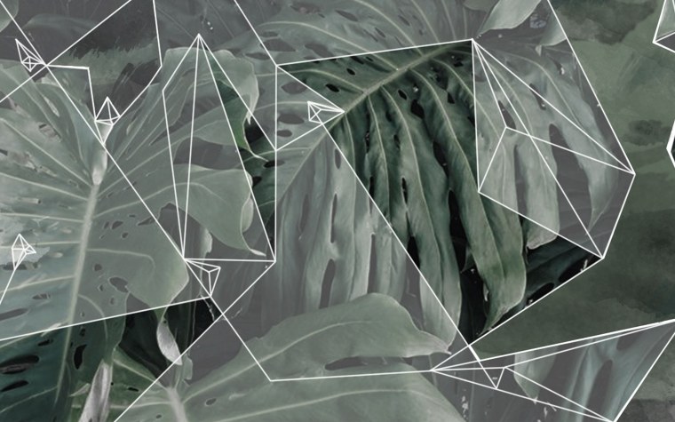 Джек Стоун камень