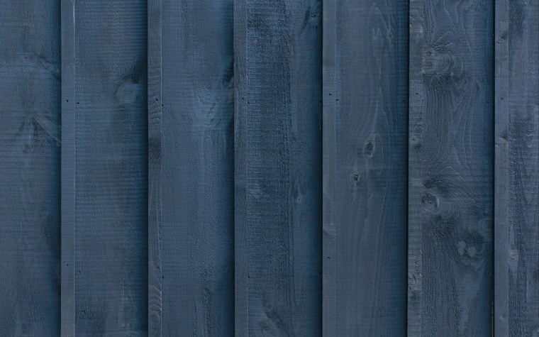 Обои дерево