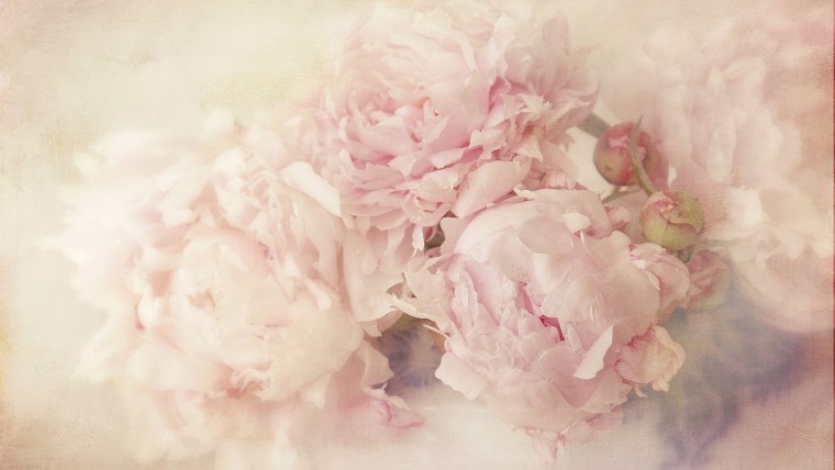 Пастельный фон