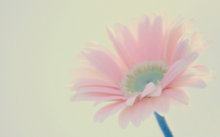 Звездное небо розовое