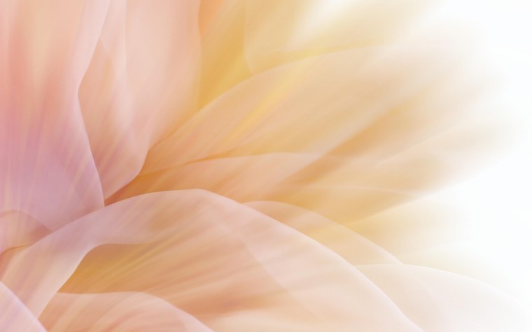 Нежные цветы в пастельных тонах