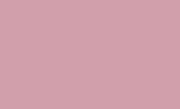 Цветы в пастельных тонах