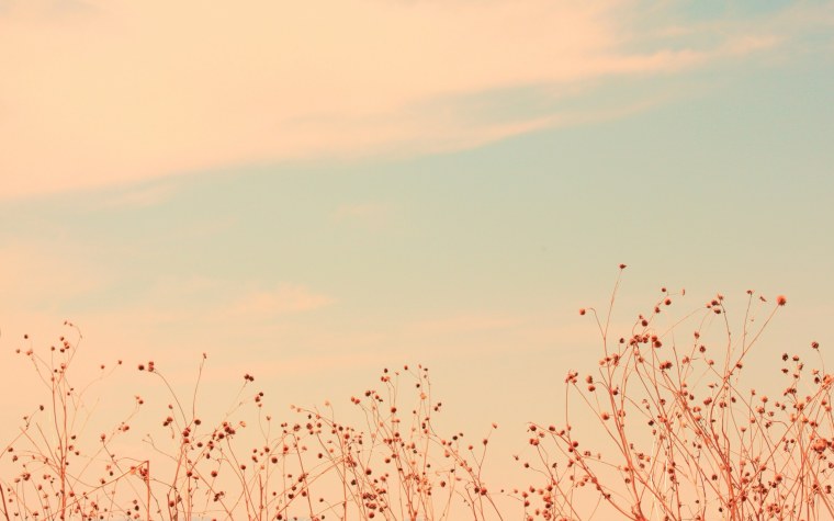 Текстура пастельные тона