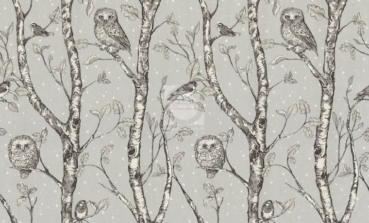 Обои с совами Леруа Мерлен