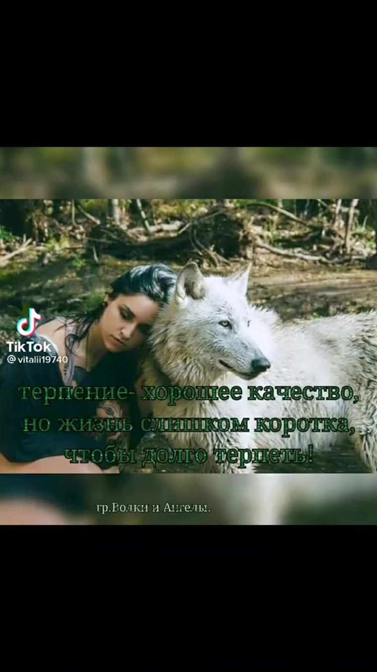 Одинокий волк цитаты