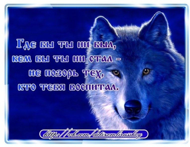 Волк демотиватор