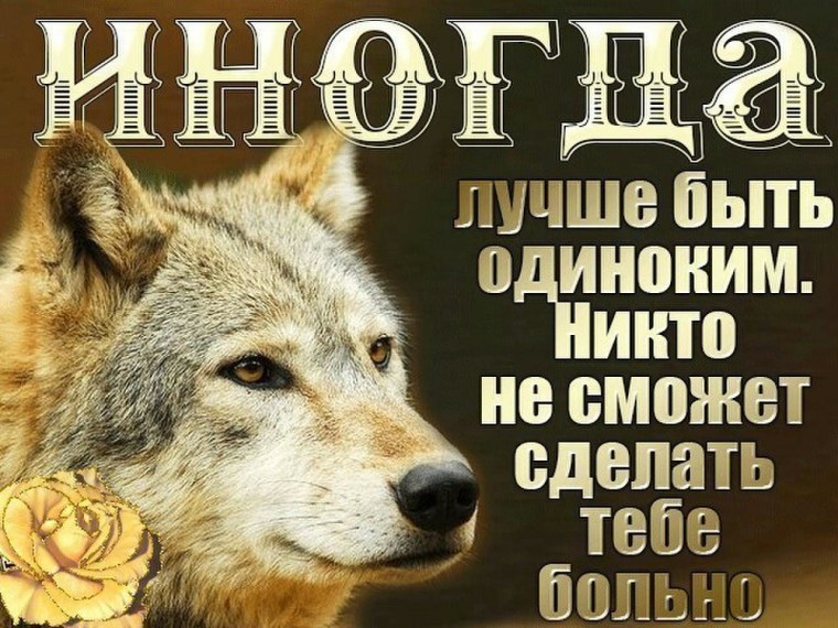 Уйти в тишину