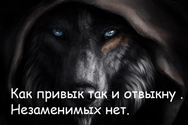 Открытки с волками с надписями