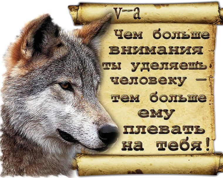 Одинокий волк