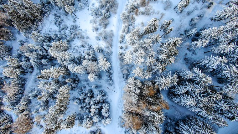 Зима Эстетика