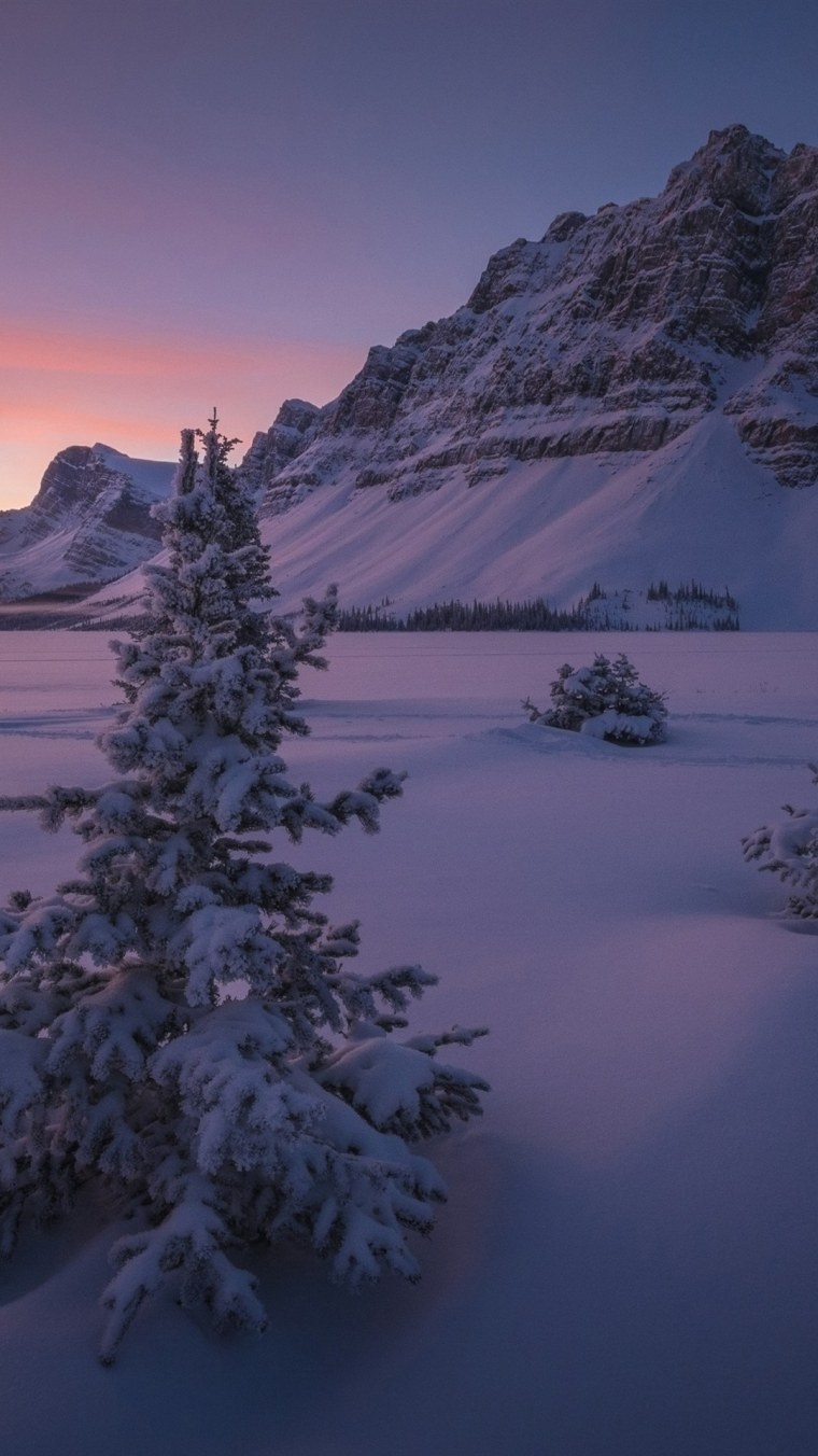 Зимний лес вид сверху