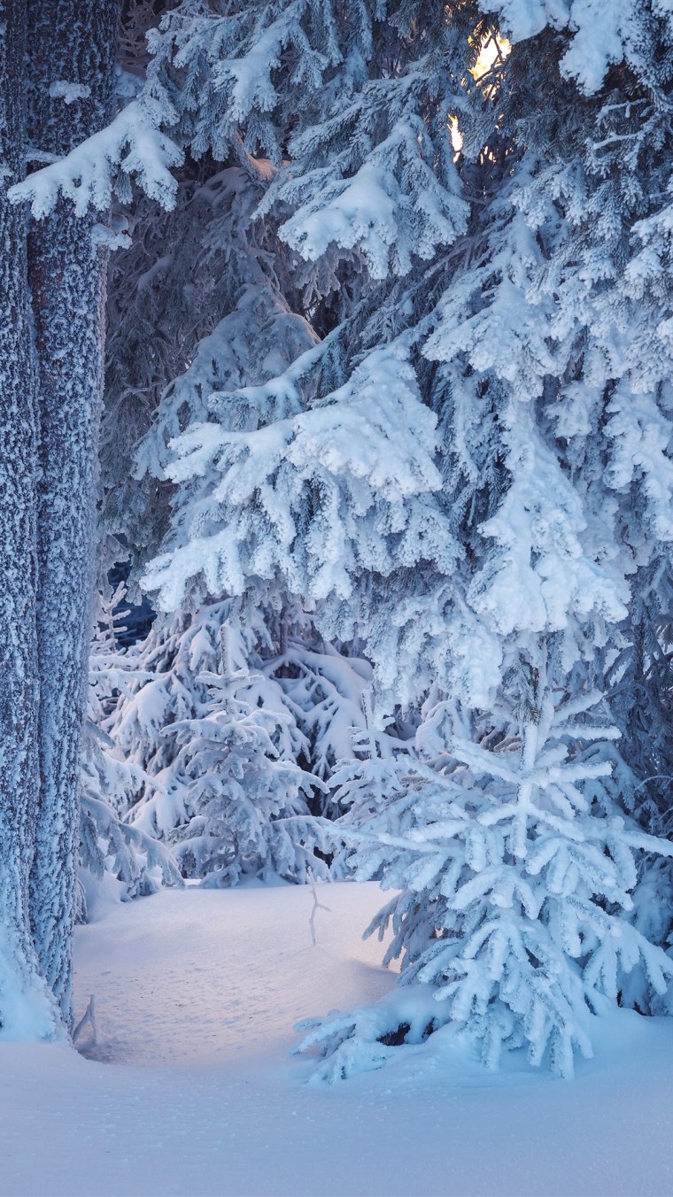 Снег снежинки