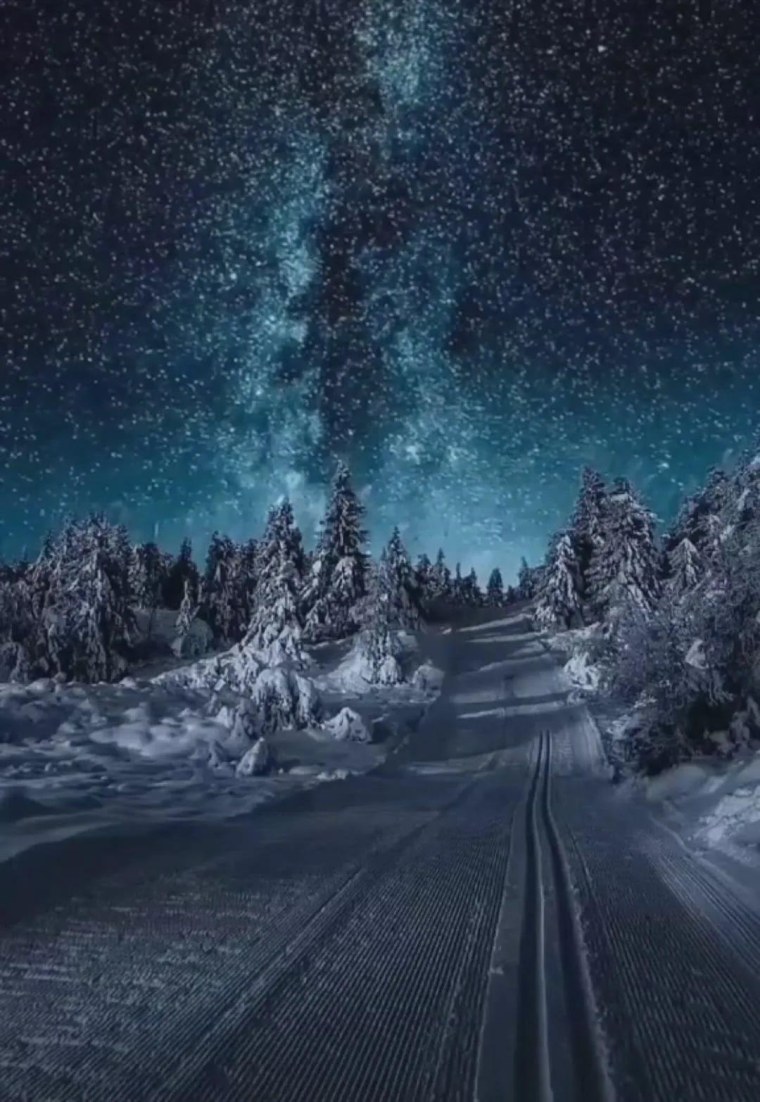 Зимние листья