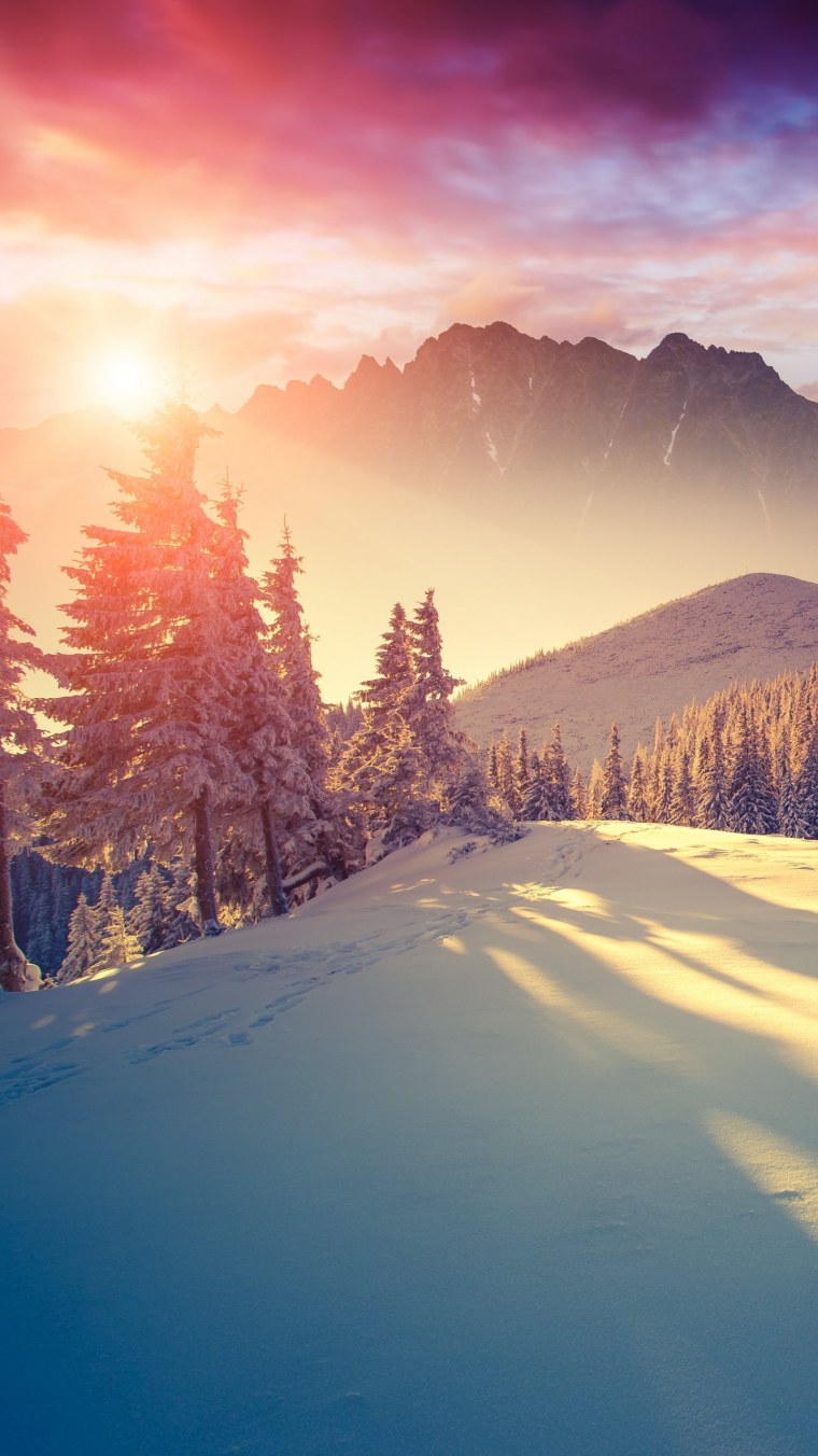 Новогодний фон для открытки