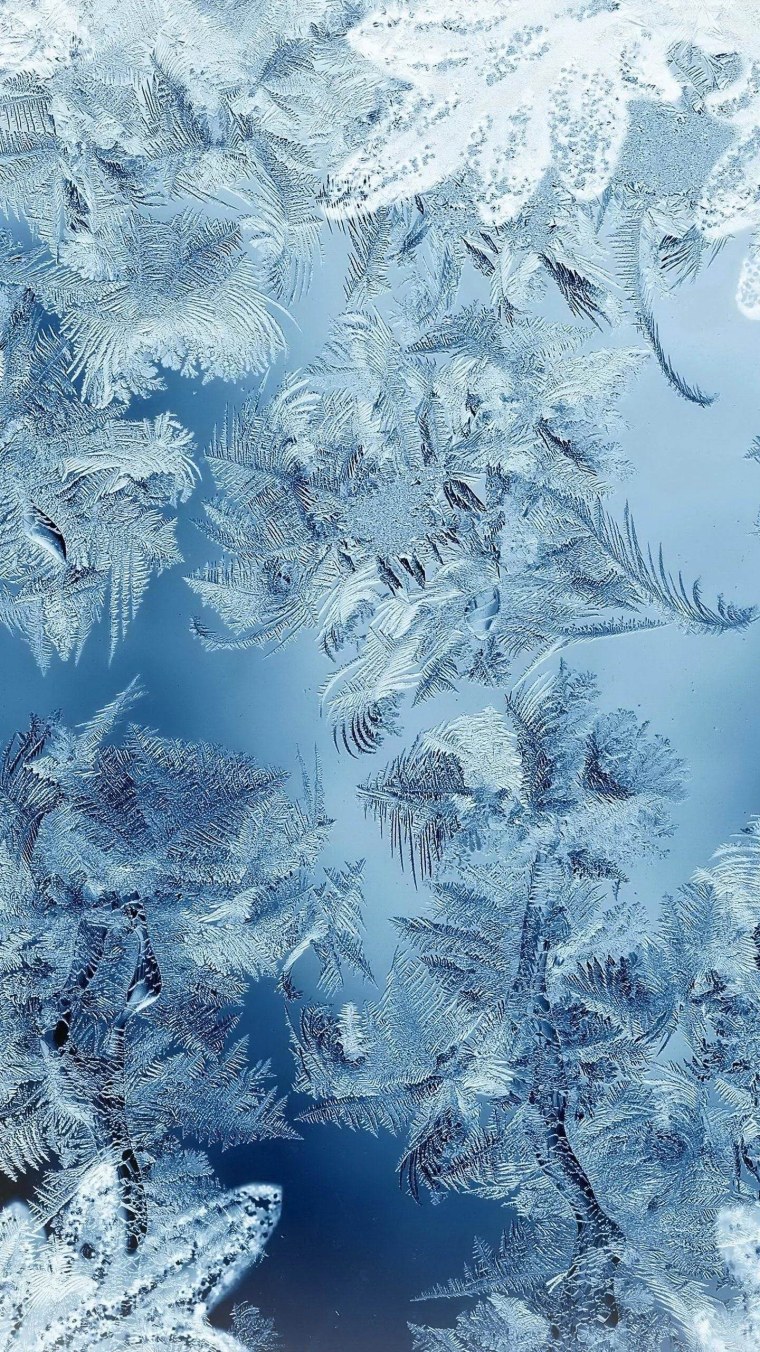 Заснеженная ветка