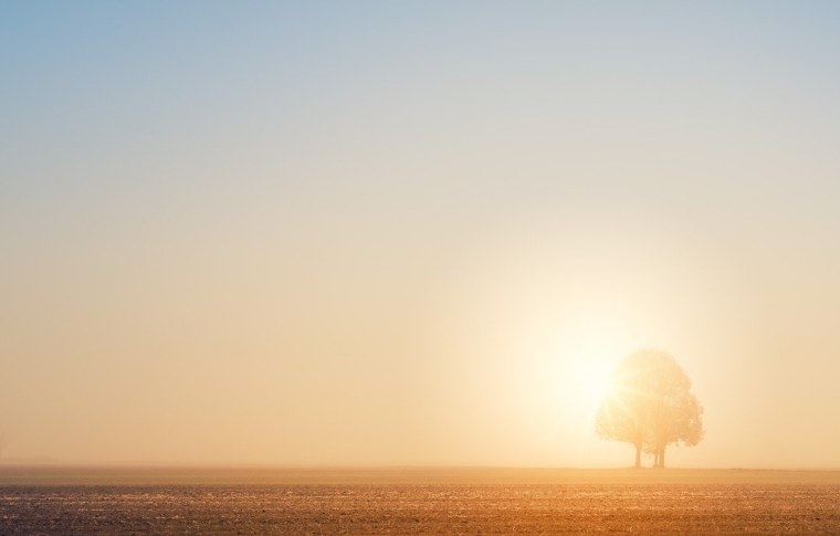 Закат над степью