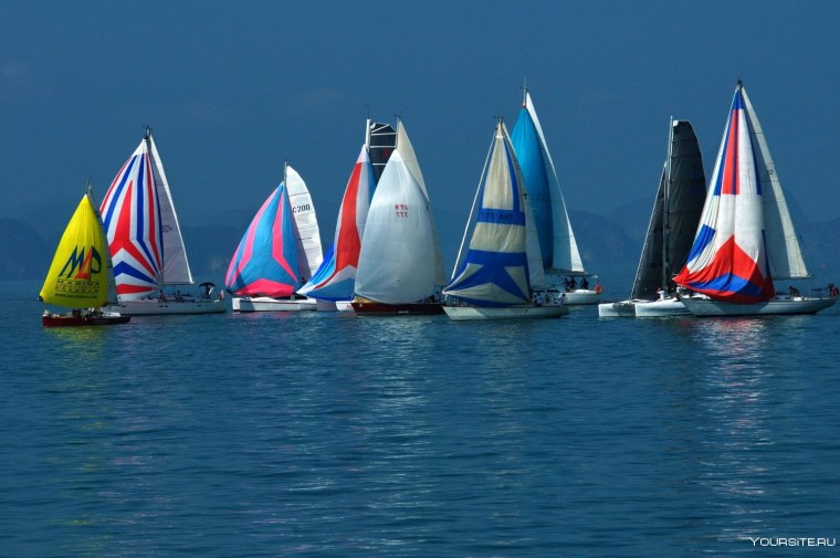 Парусный спорт регата