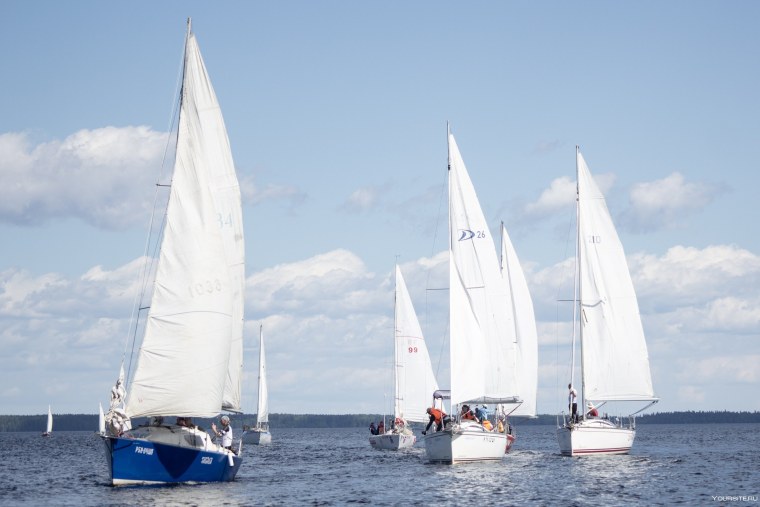 Яхтинг парусный спорт