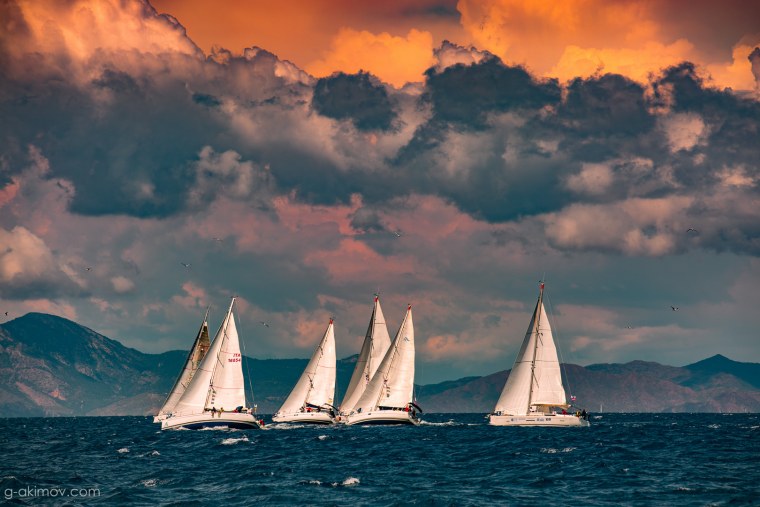 Регата в Пскове 2022