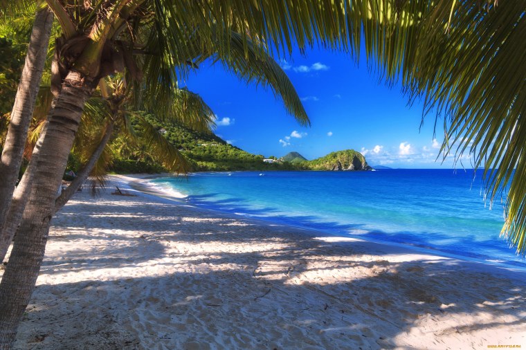 Море пляж тропики