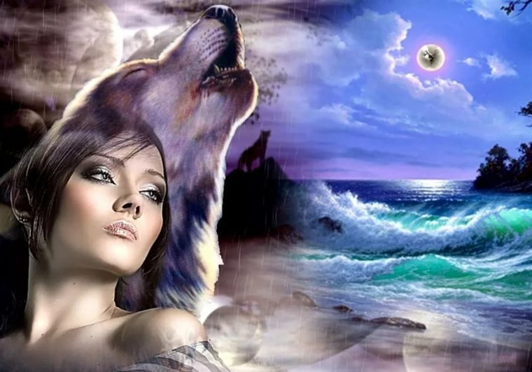 Одинокая волчица картинки