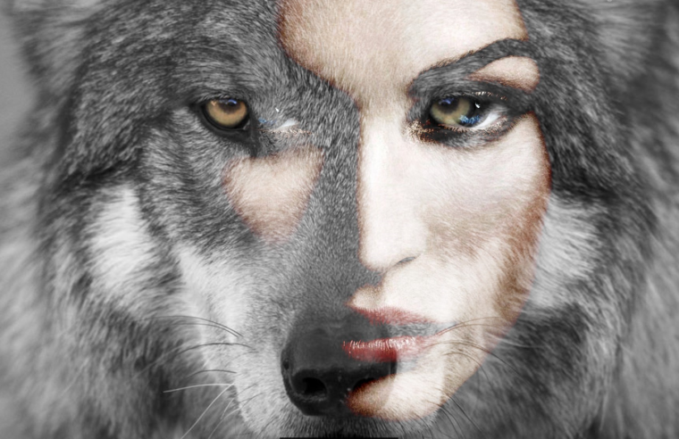 Пол лица волка