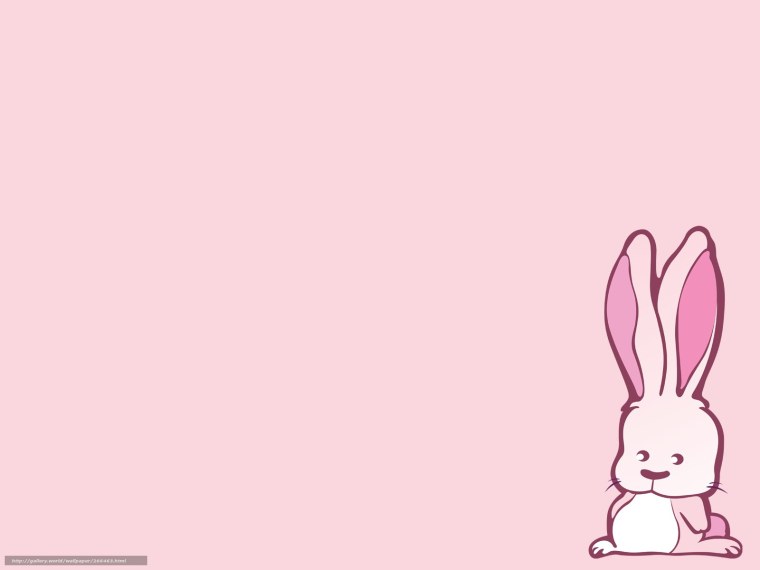 Кролик Минимализм