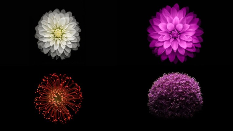 Цветы на айфон