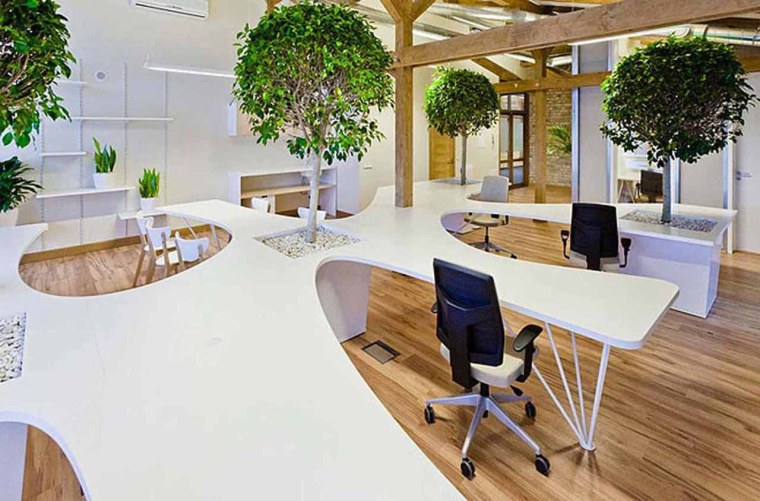 Экостиль опенспейс