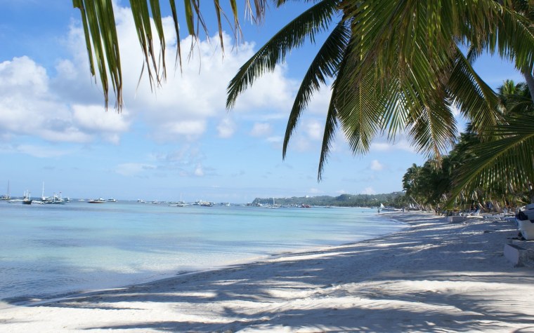 Фото на рабочий стол море пальмы